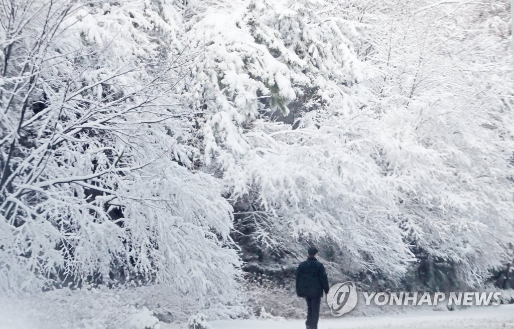 양양 등 강원 9곳 대설경보 해제…태백에 대설주의보 해제