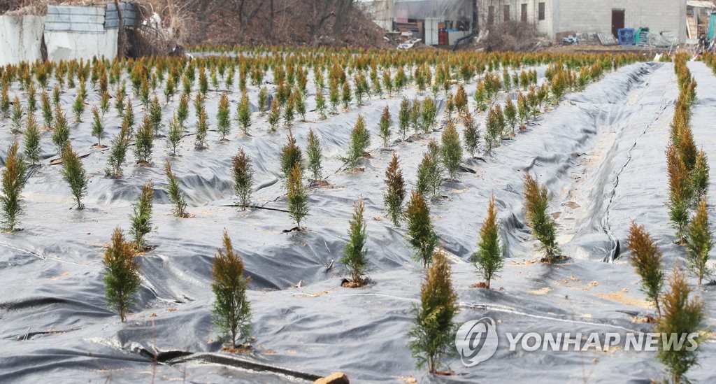 LH 직원 투기 의혹 규명 속도전…투명하게 드러날까