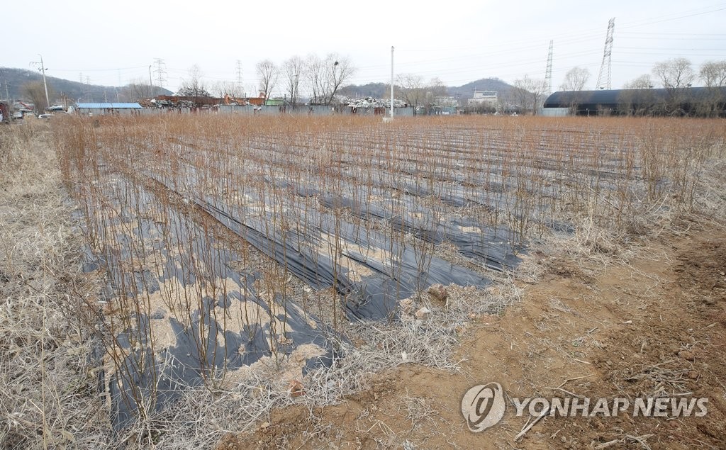 지방의회까지 번진 '땅 투기' 의혹…정치인은 조사 사각지대?