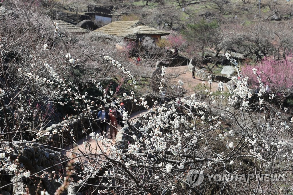 '봄바람 타고 코로나 퍼질라'…관광·체육·종교시설 방역 점검