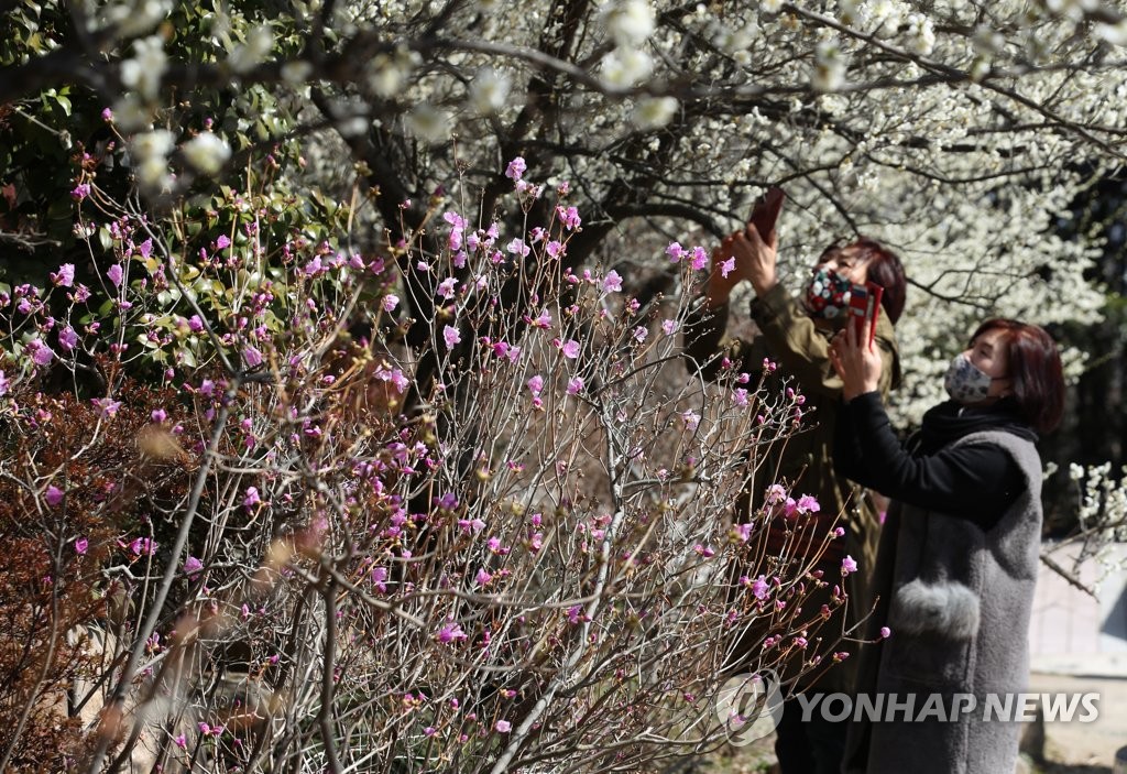 전국 관광지·유원지에 행락인파…도심 쇼핑몰 입장객 '장사진'