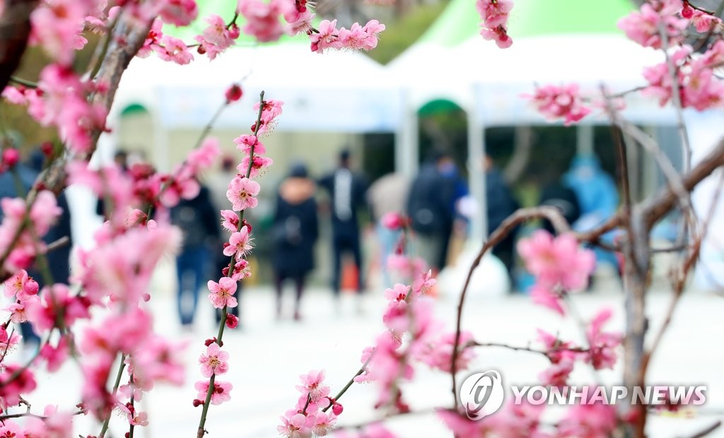 오후 9시까지 428명, 어제보다 23명↑…10일 400명대 중후반(종합)