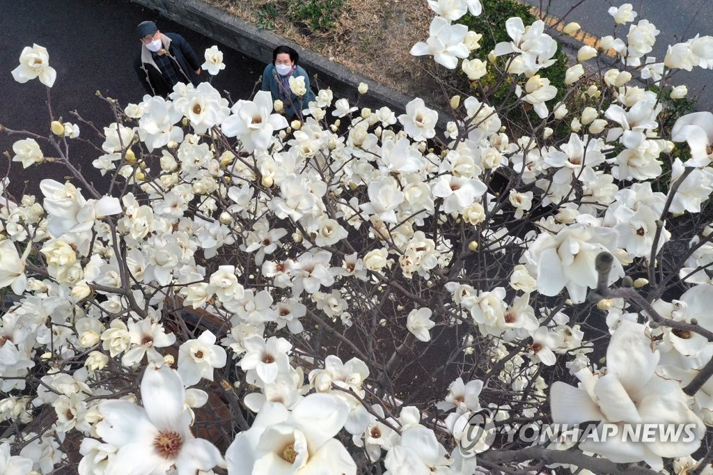 맑고 포근한 경남…출근길 안개 조심