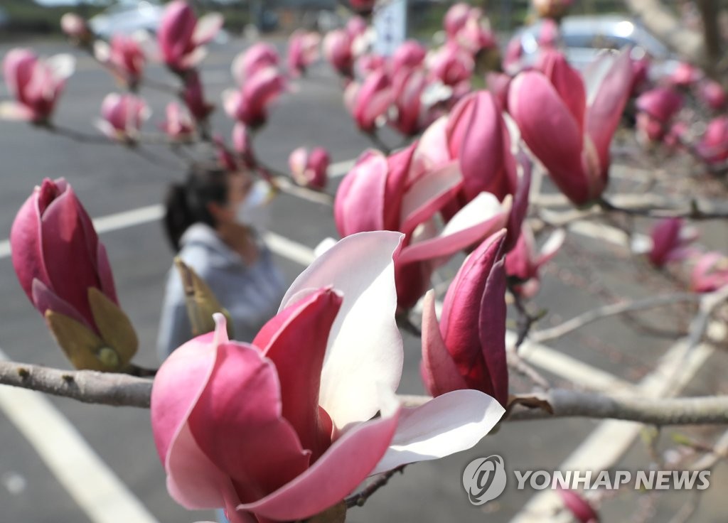 제주 밤부터 비…예상 강수량 10∼40㎜