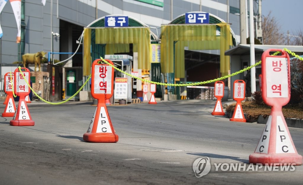 '안성 공판장 집단감염' 영향 마장동 축산물시장 선제검사