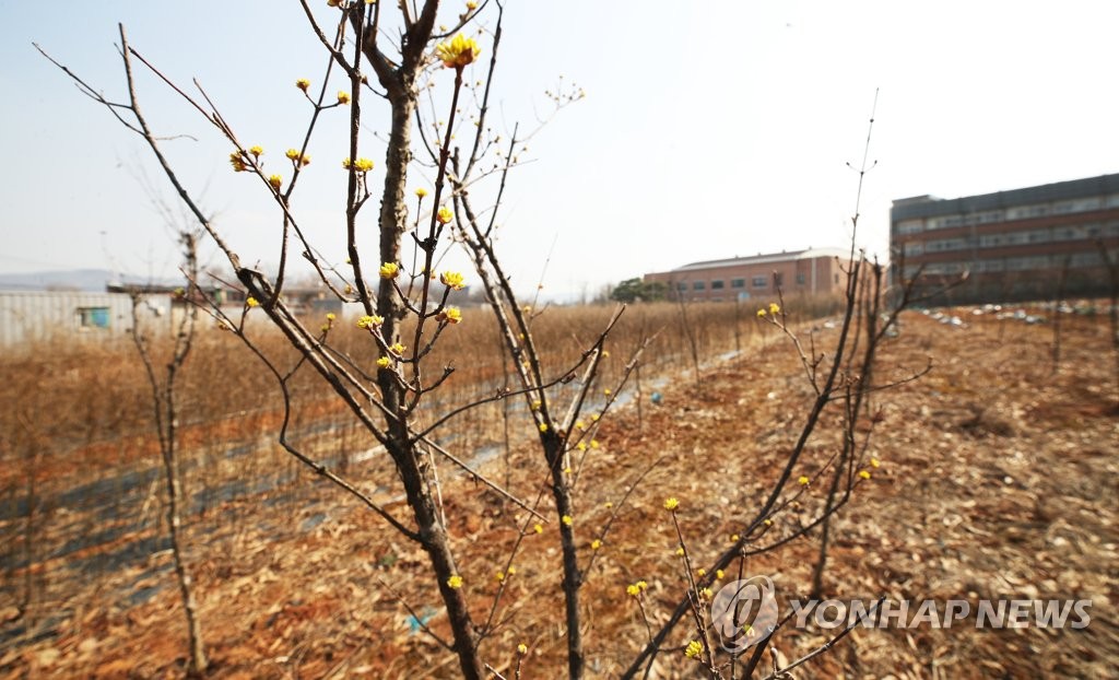 수술대 오르는 '공룡' LH…토공-주공 분리안에 해체론까지