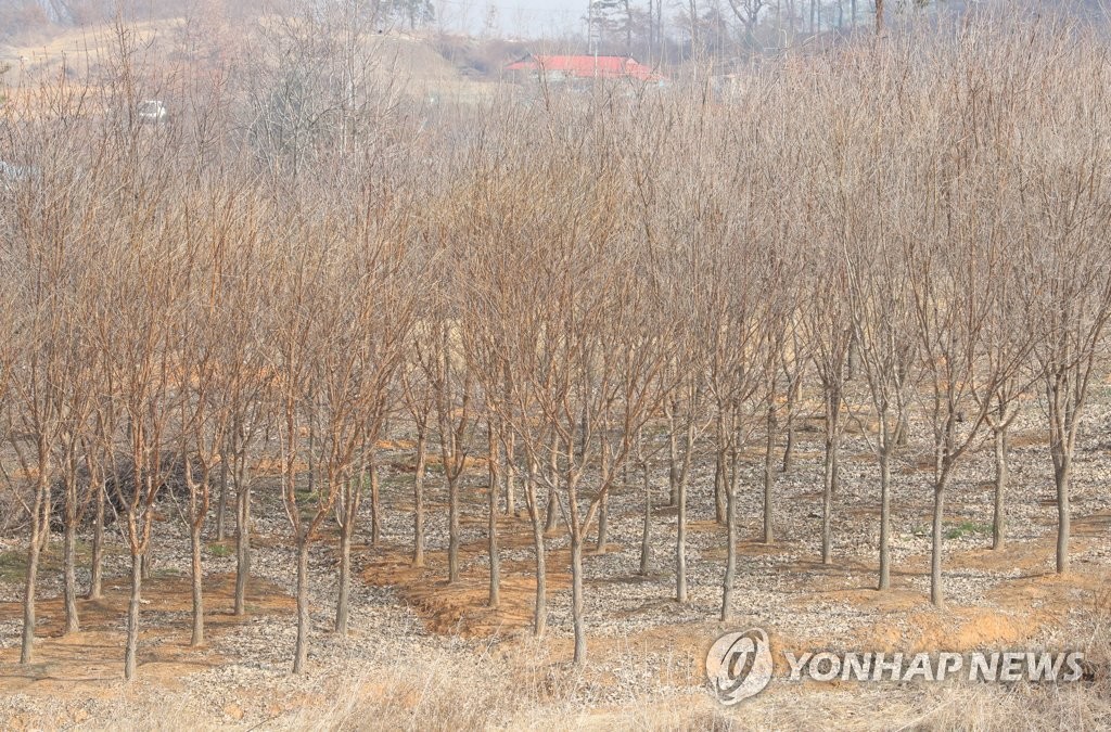 "몇달새 벌집 60여채 다닥다닥"…청주 넥스트폴리스도 투기 대상