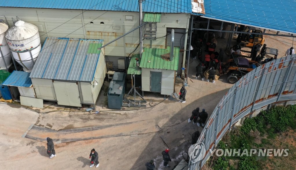 전남 장흥 오리농장서 고병원성 AI 의심사례 발생