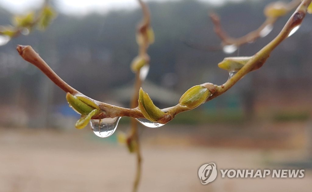 [내주날씨] 대체로 포근…16일 중부·18일 남부지방에 비