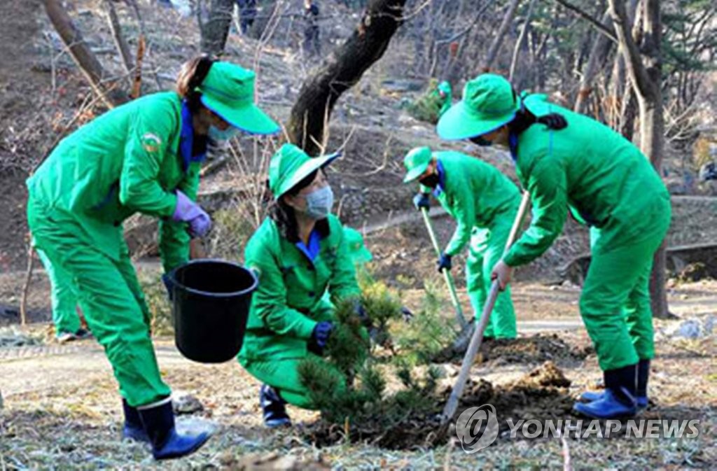 "치산치수로 홍수 막아라"…북한, 봄철 국토관리사업 총력