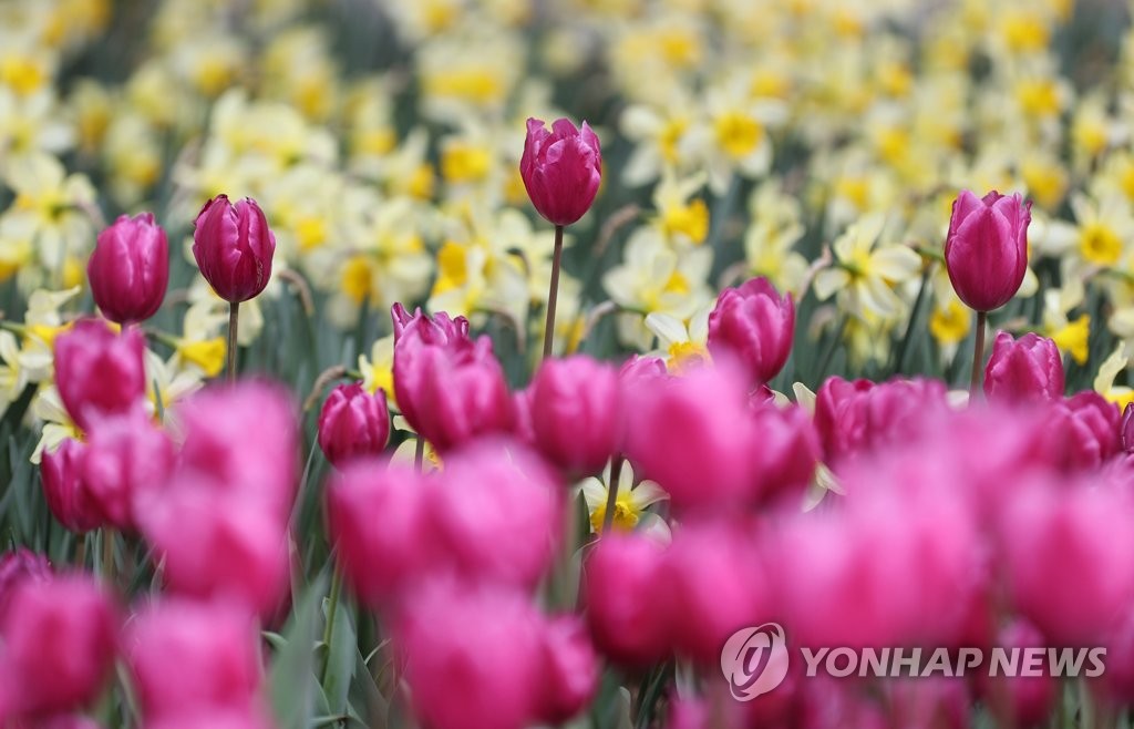 전국 적신 봄비에 나들이 인파 '뚝'…실내는 북적북적