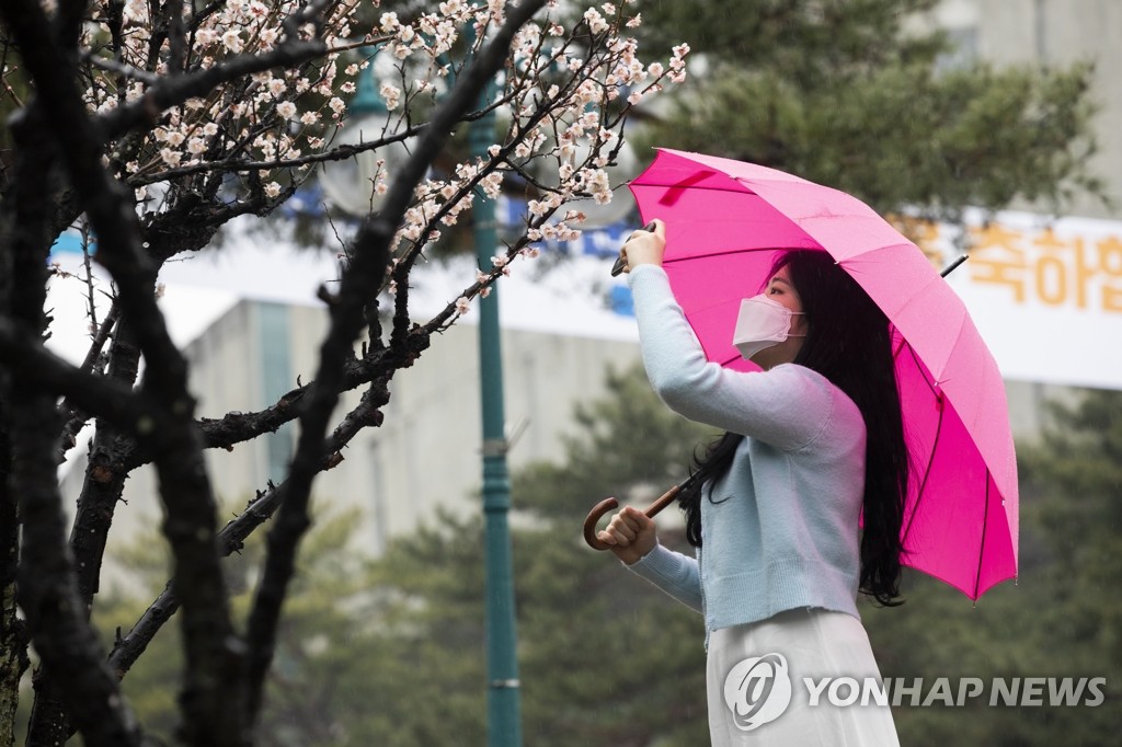 전국 적신 봄비에 나들이 인파 '뚝'…실내는 북적북적