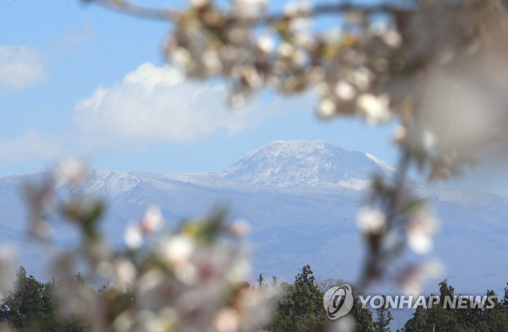 제주, 기온 올라 포근…"짙은 황사 가능성"