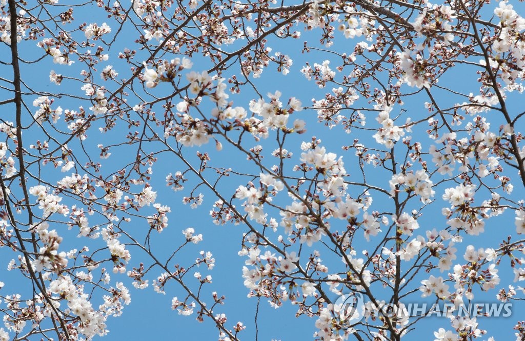 전북 대체로 맑고 강한 바람…낮 기온 15∼18도