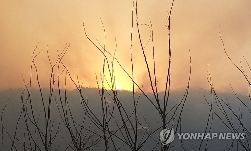 홍천산불 헬기 7대 투입 진화 중…주변 민가 대피령(종합)