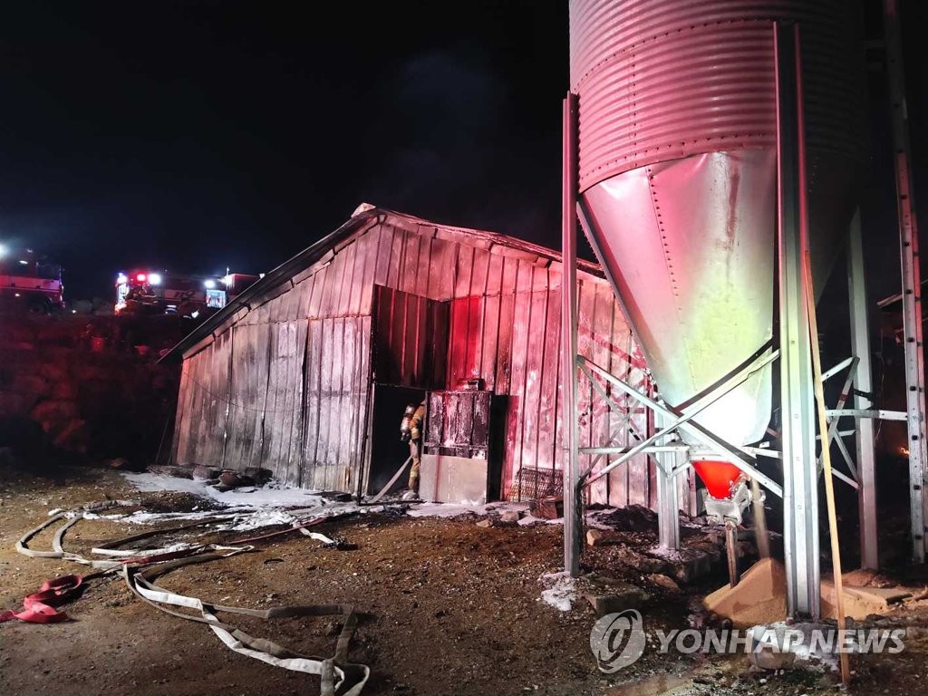 춘천 남면 양계장서 불…병아리 1만4천 마리 소사