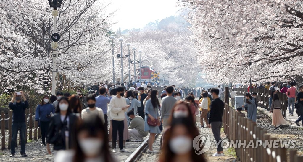 '바람불면 꽃비 내린' 진해…자제 요청에도 벚꽃 상춘객 긴 줄