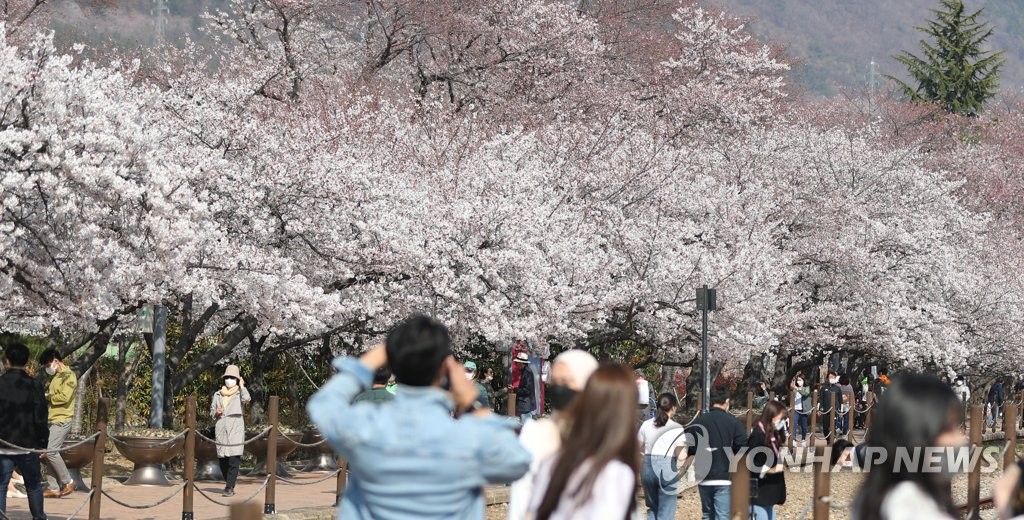 정부 "봄철 축제 개최 가급적 자제해야…전국 유원지 집중점검"