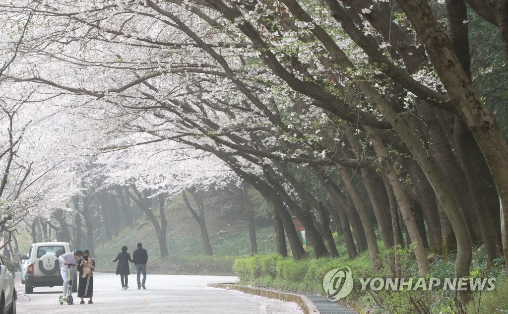 제주도산지 등 6곳 황사경보