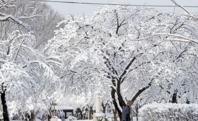 [날씨] 내일 강원 영동지역 또 '눈폭탄'…최대 15㎝ 이상 예상 