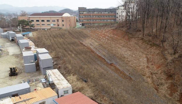 4일 LH 직원 투기 의혹이 제기된 경기도 시흥시 무지내동 야산 인근 자투리땅에 묘목들이 심겨 있다. /사진=연합뉴스