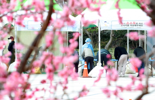 7일 오후 매화가 만개한 대구 중구 국채보상운동 기념공원에서 휴일임에도 많은 시민이 임시 선별진료소를 찾아 신종 코로나바이러스 감염증(코로나19) 검사를 받고 있다. 사진=연합뉴스