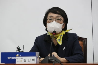 술 먹고 운전자 바꿔치기 한 김진애 의원 비서…"곧장 면직 처리"
