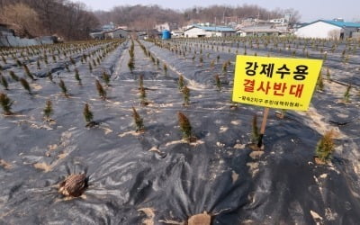 정부 "신규 개발지 땅 매입 LH 직원은 대토보상 없다"(종합)