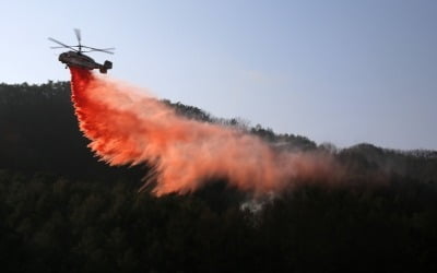 충남 아산시 송악면 광덕산에 불…"80여명 투입 진화 중"