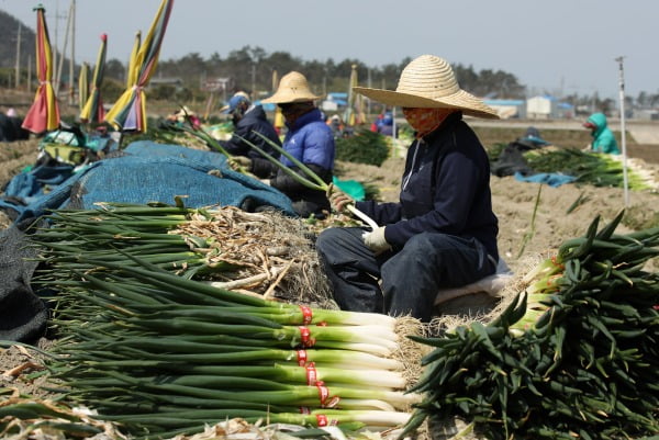 사진=연합뉴스