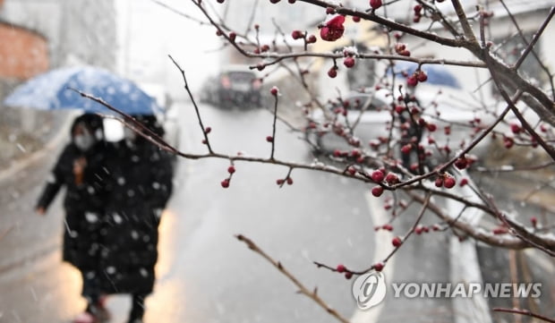 3일 아침 최저 영하 10도 '꽃샘추위'…낮과 밤 기온 차 커