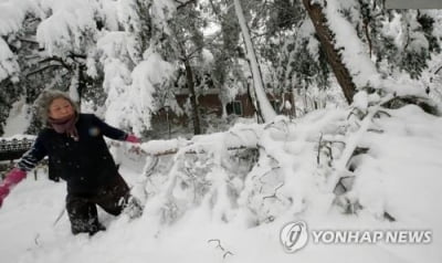 "봄이 오나 했더니 폭설"…눈 치울 엄두조차 못 내는 산골 주민