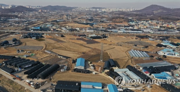 '광명 시흥 신도시 투기 의혹' LH 직원 12명 직무배제