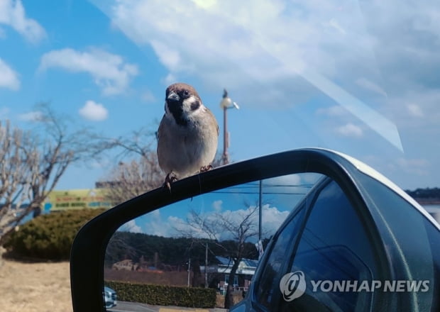 출근길 영하권 '반짝 추위'…낮부터 기온 올라 포근