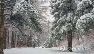 강원 눈 온 뒤 출근길 '쌀쌀'…낮과 밤의 기온 차 커