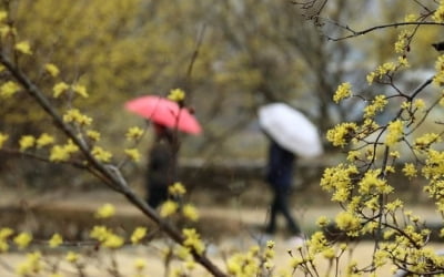 아침 포근하고 남부 중심 봄비…수도권 미세먼지