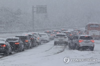 주말 강원도에 또 눈 소식…행안부, 폭설 대응책 긴급점검(종합)