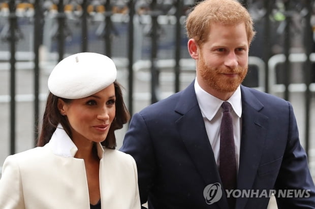 British Harry Megan Charity Aim Jung…  Amplify the theory of royal conflict