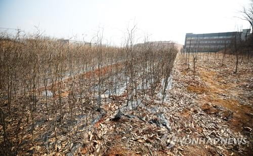 '공직자 땅투기 이익 3~5배 환수' 법안 잇따라