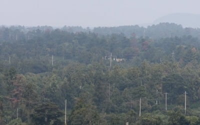 제주 2공항 입지 선정 사전 유출 의혹 제기…"전수조사 촉구"