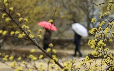 [날씨] 남부, 저녁부터 강우 확대…중부, 미세먼지 나쁨