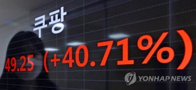 "다음은 우리"…쿠팡 '대박'에 이커머스업체 상장 가속화 전망