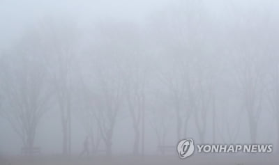 강원 영서 미세먼지 '나쁨'…내륙과 산지에 5㎜ 비