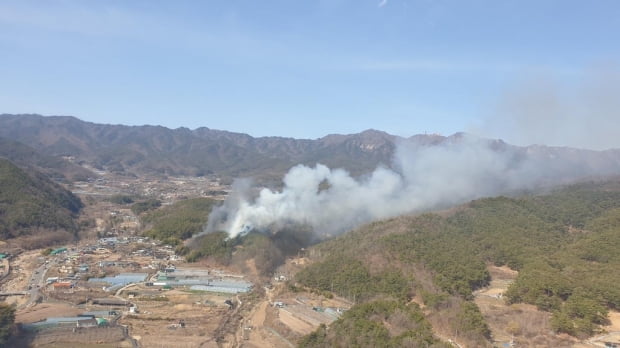 대구 팔공산 자락서 불…산림 1천㎡ 태워