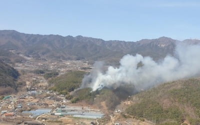 대구 팔공산 자락서 불…산림 1천㎡ 태워