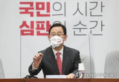 野, 공시지가 상승에 "국민을 투기꾼 다루듯 세금 징벌"(종합)