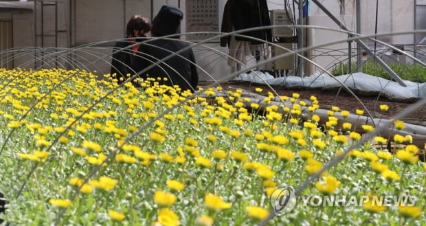 수도권·제주 오전에 비 조금…충남 미세먼지