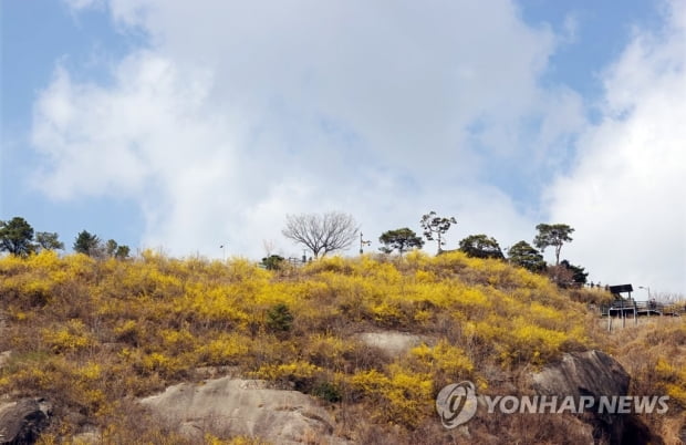 [날씨] 전국 맑고 일교차 커…강원 영동에는 강풍