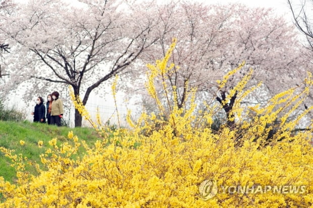 화창한 봄 날씨…전국 낮 기온 20도 안팎