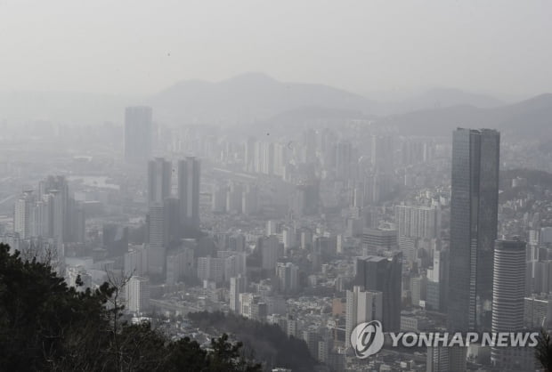 "이런 지독한 황사는 처음"…부산 11년 만에 '황사 경보'